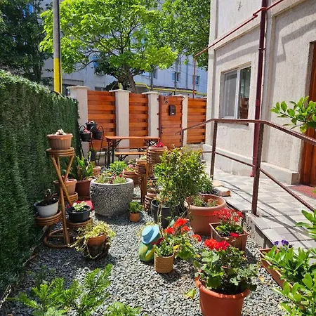 ゲストハウス Casa Dromon *
